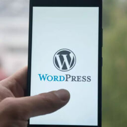 Cuales son lo mejores plugins para WordPress