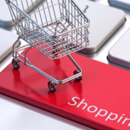 Carritos de compra abandonados en tu tienda online: ¿Cómo combatirlas?